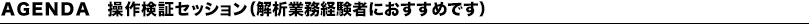 操作検証セッション（解析業務経験者におすすめです）