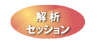 解析セッション